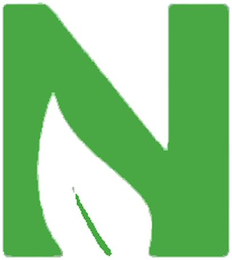 N logo