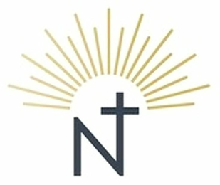 N logo