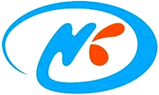 N logo