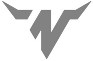 N logo