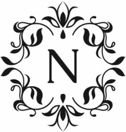 N logo