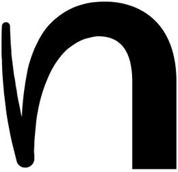 N logo