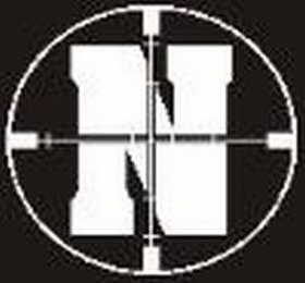 N logo