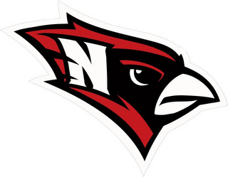 N logo