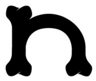 N logo