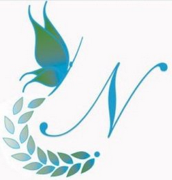 N logo