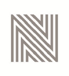 N logo
