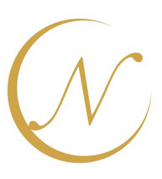 N logo