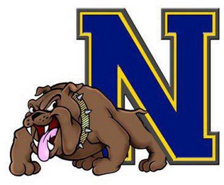 N logo