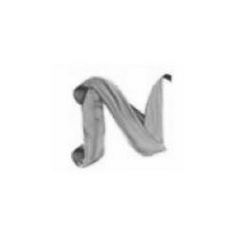 N logo