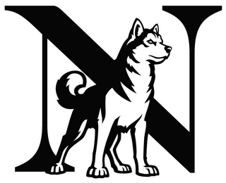 N logo