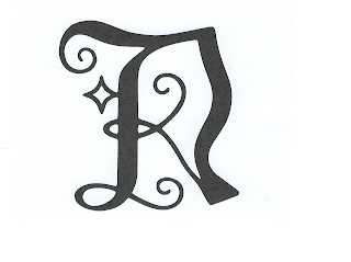 N logo