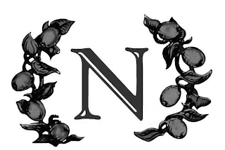 N logo