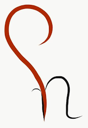 N logo