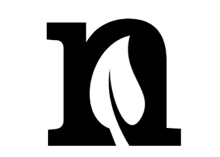 N logo
