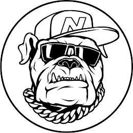 N logo