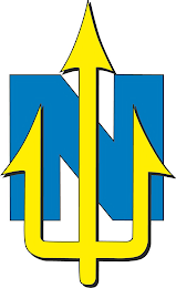 N logo