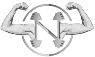 N logo