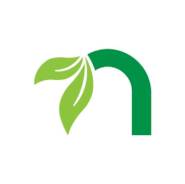 N logo