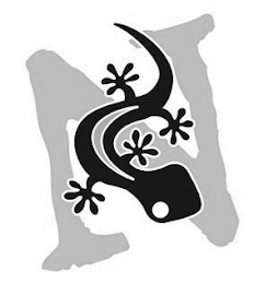 N logo