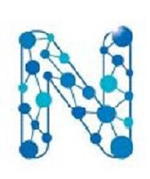 N logo