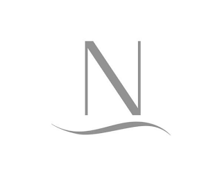 N logo