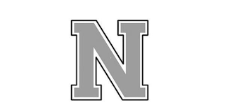 N logo