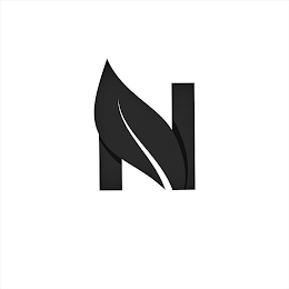N logo