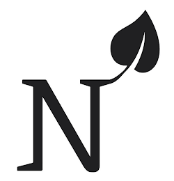 N logo