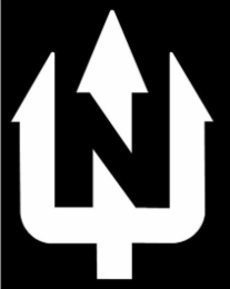 N logo