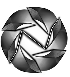 N logo