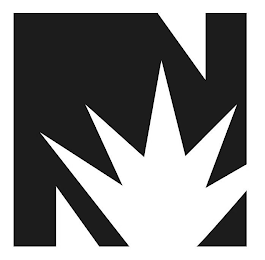 N logo