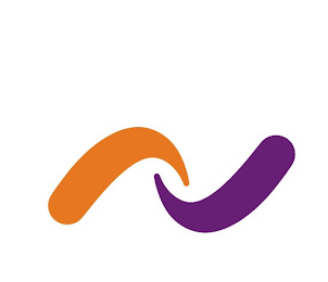 N logo