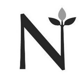 N logo