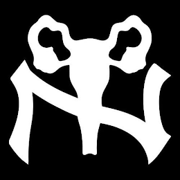 N logo