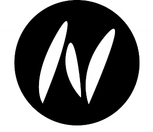 N logo