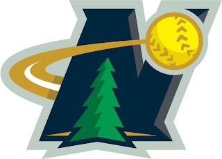N logo