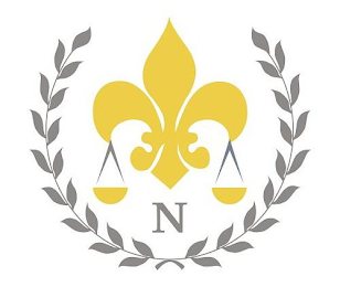N logo