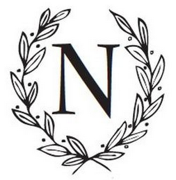 N logo