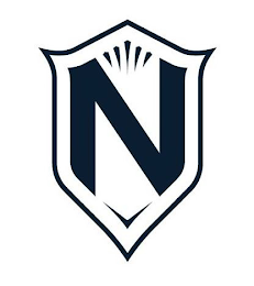 N logo