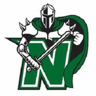 N logo