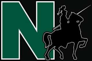 N logo