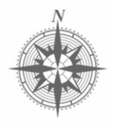 N logo