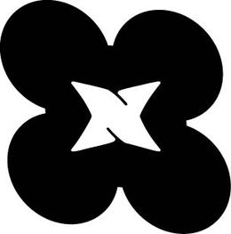 N logo
