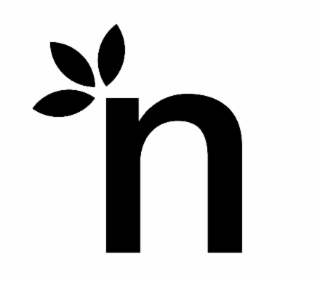 N logo