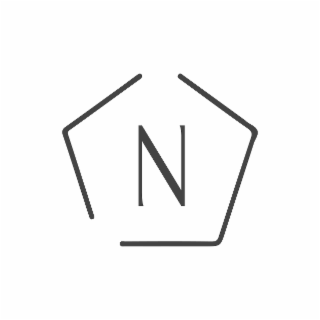 N logo