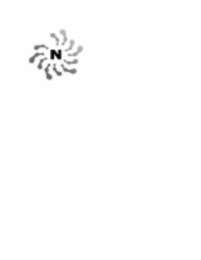 N logo
