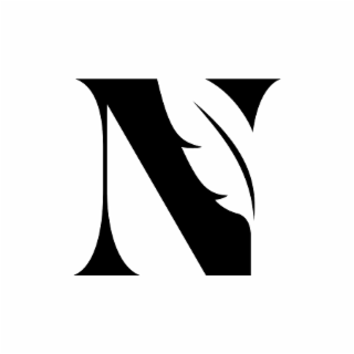 N logo
