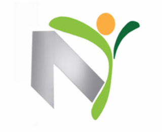 N logo