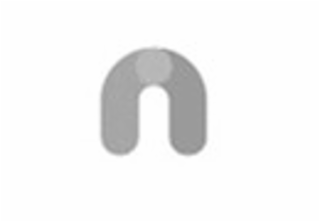 N logo